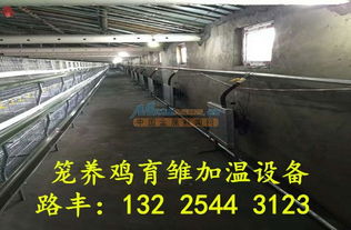 環保養殖鍋爐的革新之路 山東路豐溫控設備廠的專業解決方案與水產品零售新業態